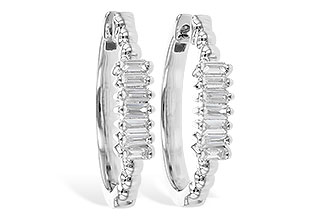 F327-96160: EARR .20 TW BAGUETTES